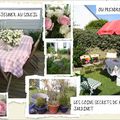 Concours nos jolies terrasses..................