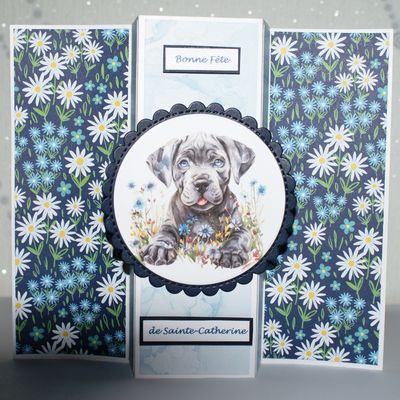 Des cartes de Ste Catherine