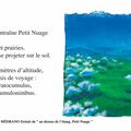 Nouveau livre : "Au-dessus de l'étang, Petit Nuage"