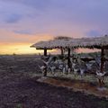 Baluran National park