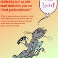 un chat qui catch?