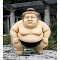 Nouvelle activité des vacances : … Combat de sumo