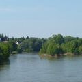 Bras de Loire, vue du pont de Muides