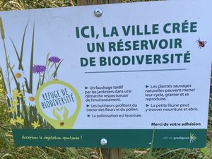 De la nature avant tout