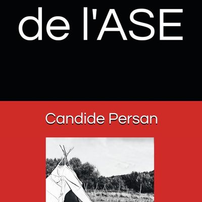 Note de lecture : L'enfer de l'ASE, par Candide Persan