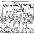Corne d'abondance (Walrus)