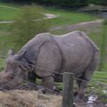 visite du Zoo de Cerza