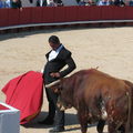 AIDE AU TORERO MEHDI SAVALLI