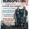 CONCOURS BLINDSPOTTING : 5 places à gagner !