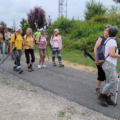 Jeudi 3 juillet - Sauveterre
