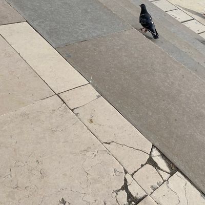 LES RUINES DU PALAIS 