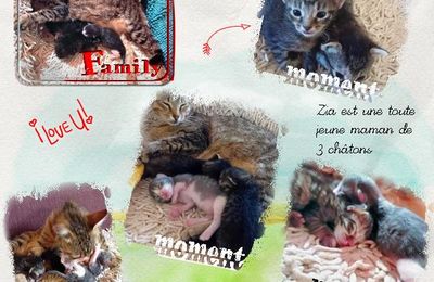 * Zia, maman Chat -2