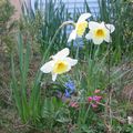 Arrivée du printemps à Clair'Joie