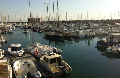 On croise 2 des Penduick d'Eric Tabarly .... magnifique .....