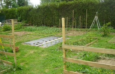 petit tour au jardin potager , qui prend forme