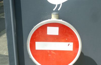 Les Oiseaux de Parthenay (Deux-Sèvres) rencontrés le 25 juillet 2025 (1)