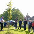 LE 8e ARBRE DE LA LIBERTÉ PLANTÉ A EFFRY.