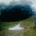 WISP – If Not Winter (2025)