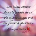 Ne laisse  entrer...