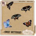 CU - Sweet Butterflies