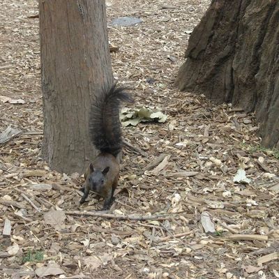 5. Une journée avec de petites dépenses 