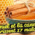 Le miel et la cannelle guérissent 17 maladies