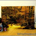 Mon aventure "Postcrossing" # 2