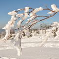 24/02/18 : La neige dans les Vosges # 4