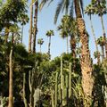 Le jardin Majorelle