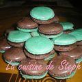 Macaron Menthe Chocolat