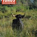Le numéro 2012 de TOROS est paru le 6 novembre