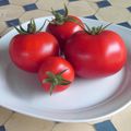 Tomates du "jardin"