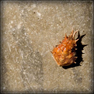 Le long des fleuves et du litoral #01