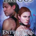 Alpha et Oméga : Entre chien et loup - Tome 4 - Patricia Briggs