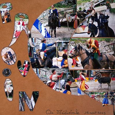 Provin Cité Médiévale