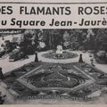 Square Jean Jaurès (Lechten) Mosaïculture, le millésime 1955 !
