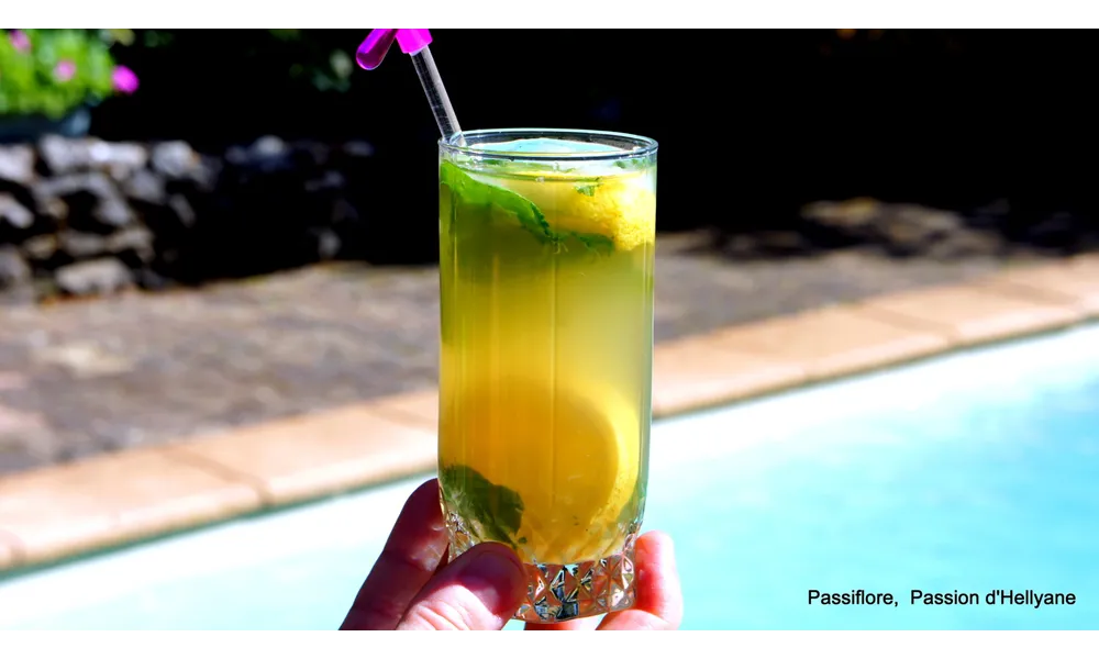 mojito rhum/citron/sirop de canne/sève de bouleau lactofermentée bio