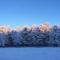 Nouvelles de Laponie Finlandaise.