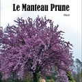 Le Manteau Prune de Nadine PARDOUX