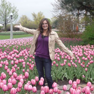 The Tulip Festival