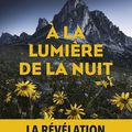 À la lumière de la nuit