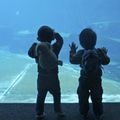 Enfants à l'aquarium