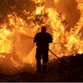 Incendies en Espagne