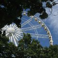 Les Tuileries