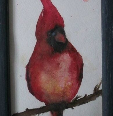 LE CARDINAL ROUGE AQUARELLE