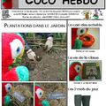 Coco Hebdo #23 !