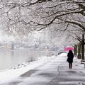 un peu de neige pour le plus grand plaisir de mes