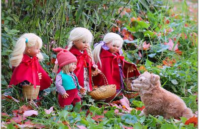 Conte des 3 petits chaperons rouge, leur frère et Le Loup