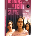 CONCOURS LES GRAINES DU FIGUIER SAUVAGE : 2 DVD A GAGNER D'un DES FILMS PHARE DE 2024