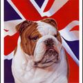 Typically British Reading Challenge (2010 & +)